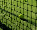 Focused tennis ball behind the nett Royalty Free Stock Photo