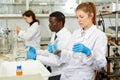 Focused woman lab technicians working with reagents and test tubes Royalty Free Stock Photo