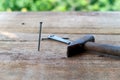 Focused wooden plank with nails and hammer on blurred green trees background Royalty Free Stock Photo