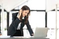 Focused young businesswoman standing at table in office, using laptop, looking at computer screen, reading or writing Royalty Free Stock Photo