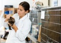 Young woman examining homeless kitten in animal shelter Royalty Free Stock Photo