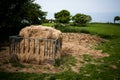 Fodder rack with hay for animal in the farm. A rack with harvested hay in the green field countryside. Metallic animals feeder fil Royalty Free Stock Photo