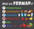 Fodmap. Carbohydrates and sugars. Editable vector illustration Royalty Free Stock Photo