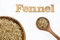 Foeniculum vulgare - Fennel phrase in wooden letters Royalty Free Stock Photo