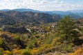 Fofest on Troodos mountains Royalty Free Stock Photo