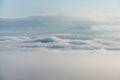 Fog above the forest in minimalist photography