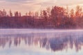 Fog above the lake at cold morning. Royalty Free Stock Photo