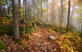 Fog in Allegheny mountains