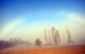 Fog arc, white rainbow, fogscape, Halo