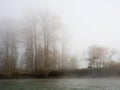 Fog on the banks of Snoqualmie river