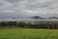 Fog belt in rural New South Wales Royalty Free Stock Photo