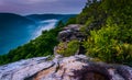 Fog in the Blackwater Canyon at sunset, seen from Lindy Point, B Royalty Free Stock Photo