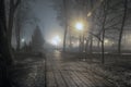 Fog in park at night by the light of street lamps Royalty Free Stock Photo