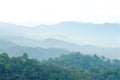 Fog and cloud mountain