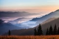 Fog and cloud mountain valley landscape