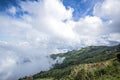 Fog and cloud mountain valley spring landscape.Forested mountain slope in low lying cloud Royalty Free Stock Photo