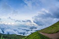 Fog and cloud mountain valley spring landscape.Forested mountain slope in low lying cloud Royalty Free Stock Photo