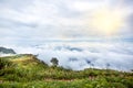 Fog and cloud mountain valley spring landscape.Forested mountain slope in low lying cloud Royalty Free Stock Photo