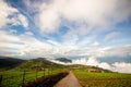 Fog and cloud mountain valley spring landscape.Forested mountain slope in low lying cloud Royalty Free Stock Photo