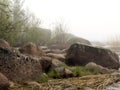 Fog and coastal rocks