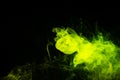 Fog colored with bright green gel Royalty Free Stock Photo