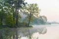 Fog concept. Grees grow along river bank on misty morning. Beautiful landscape