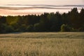 A fog on a cool July morning Royalty Free Stock Photo