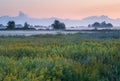 Fog in the countryside