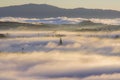 The fog cover Dalat plateau lands, Vietnam, background with magic of the dense fog and sun rays, sunshine at dawn part 14