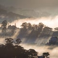 The fog cover Dalat plateau lands, Vietnam, background with magic of the dense fog and sun rays, sunshine at dawn part 4