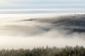 Fog covering coniferous forests in the valleys Royalty Free Stock Photo