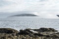 Fog covering Porcupine Island off of Bar Harbor Maine