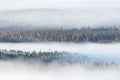 Fog covering the taiga forest landscape Royalty Free Stock Photo