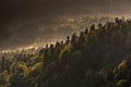 Fog creeping along the slope of the mountains in autumn overcast