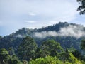 Fog at Danum Valley rain forest in lahad Datu Royalty Free Stock Photo