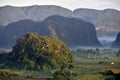 Fog at dawn in the Valley of Vinales Royalty Free Stock Photo
