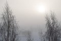 Fog day outside window view moody sky sun winter Royalty Free Stock Photo