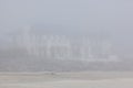 Fog on Deal Beach During Spring