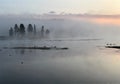 Foggy Morning Yellowstone River Silhouettes Royalty Free Stock Photo