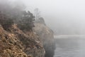 Foggy Coastline of Northern California in Sonoma Royalty Free Stock Photo