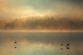 Fog and Ducks on Minnesota Morning