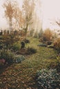 Fog in early morning in late autumn or winter garden. Royalty Free Stock Photo