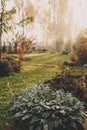 Fog in early morning in late autumn or winter garden. Royalty Free Stock Photo