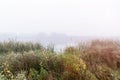 Fog in the early morning on a small lake Royalty Free Stock Photo