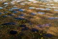 Fog emerging from bog lakes in Soomaa National Park Royalty Free Stock Photo