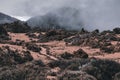 Fog engulfed the craggy terrain and trees after the fire