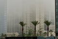 Fog Shrouded Buildings Downtown San Diego