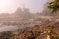 Fog envelops the rugged Wild Pacific Rim Trail at Ucluelet, on the Ucluelet Peninsula on the west coast of Vancouver Island in Royalty Free Stock Photo