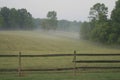 Fog On The Farm