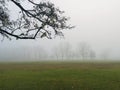 Fog in the fields Royalty Free Stock Photo